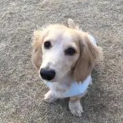そら