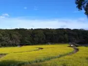 ちょび