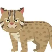 ヤマネコ