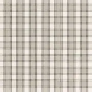 Nearの画像