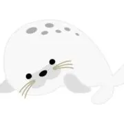 あざらしの画像