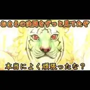 tiger