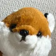 さくらんぼ