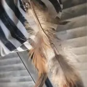 333の画像