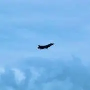 サトウの画像
