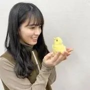 ゆさの画像