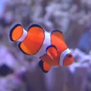 hiromの画像