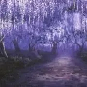 mana♡の画像
