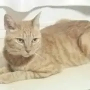 えん☆の画像