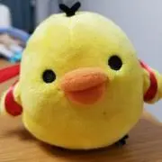 べっちーの画像