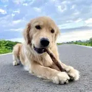 wineyの画像