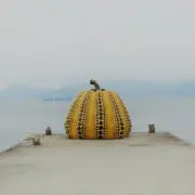nicoの画像