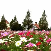 みさき4132の画像
