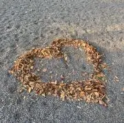 藤色
