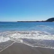 banbi98の画像