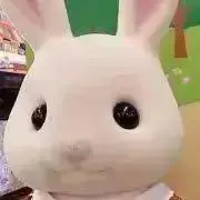 購入前にプロフ必読の画像