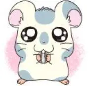 パっちゃんの画像