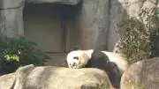 つむぎ