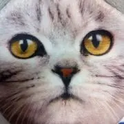 Aの画像