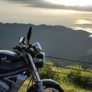 バリ丸の画像