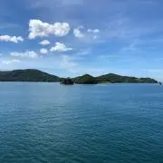 サラの画像