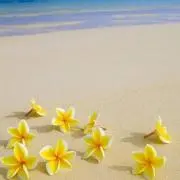 ★