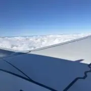 ゆの画像