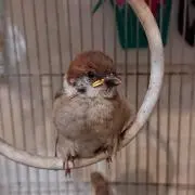 TNワークス