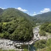 シャールの画像