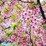 ムッチー⭐プロフ必読の画像