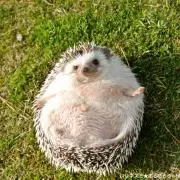 mの画像