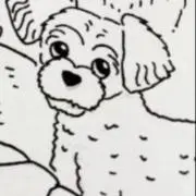 maoの画像