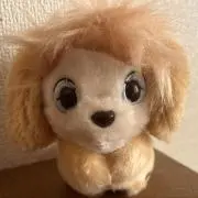 peg♪の画像
