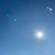 たぬきの画像