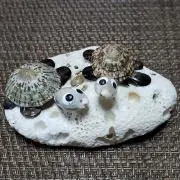 チョコ