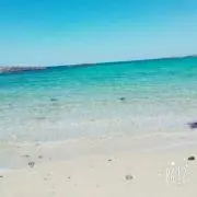 美 千 花