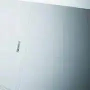 ぴょの画像