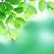 こころんの画像