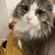 まり