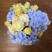 ♡新品未使用♡《学校フェイラー》ハイジ ミニショルダーバッグ 