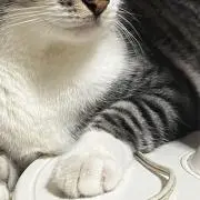 塩の画像