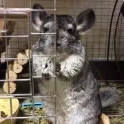 ぬっこ