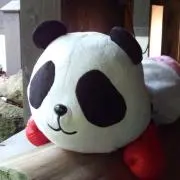 こぱんだ