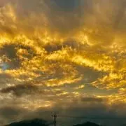 maoの画像