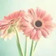 なっち☆プロフ確認お願いします。の画像