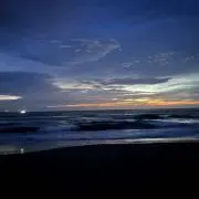 凪の画像