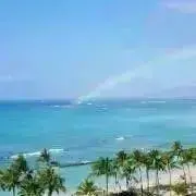 みっぴーの画像