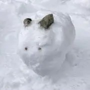 だべぢゃ2023の画像