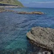 Tの画像