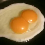 ありあ